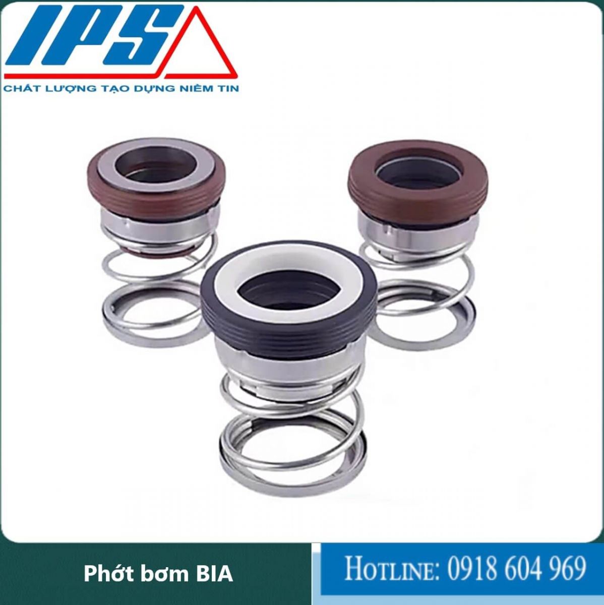 /Phớt bơm BIA-10(1).